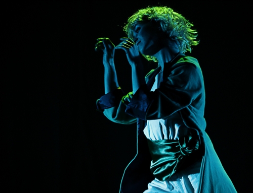 Il Principe e la Rosa