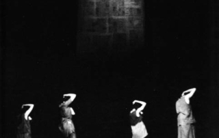 Le mandragore mandano odore