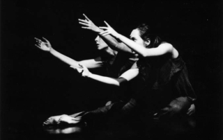 Le mandragore mandano odore