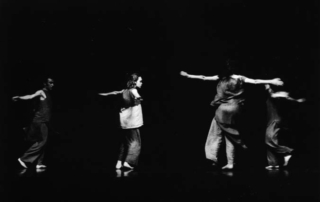 Le mandragore mandano odore