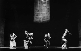 Le mandragore mandano odore